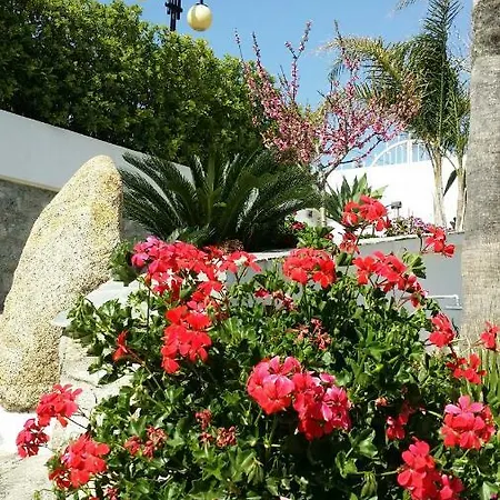 Anna Maria Capo Vaticano