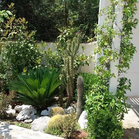 Anna Maria * Капо-Ватикано